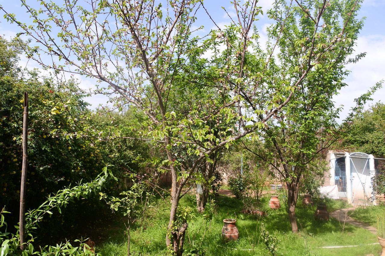 Le Jardin D'Habiba Apartment Rhorm el Alem Luaran gambar