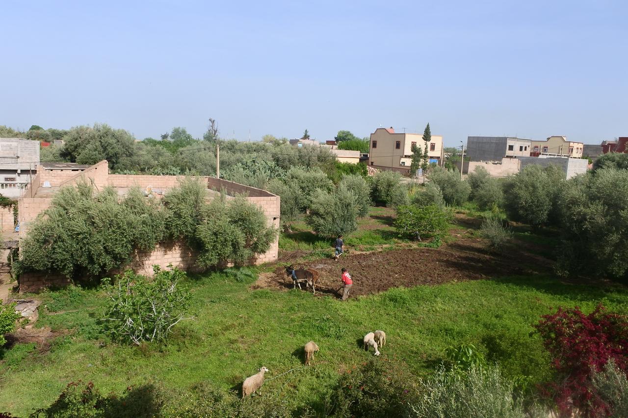 Le Jardin D'Habiba Apartment Rhorm el Alem Luaran gambar