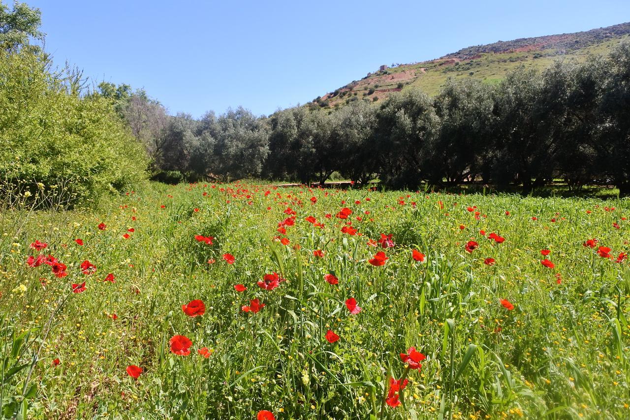 Le Jardin D'Habiba Apartment Rhorm el Alem Luaran gambar