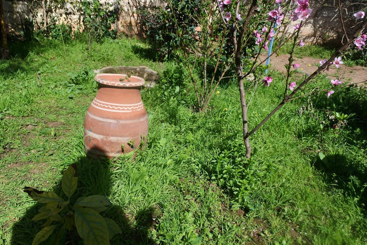 Le Jardin D'Habiba Apartment Rhorm el Alem Luaran gambar